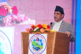 पुँजीबजार चलायमान नभएसम्म श्रम शक्ति व्यवस्थित गर्न सकिदैन : मन्त्री भण्डारी