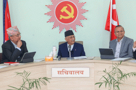 एमालेले आज ७५३ वटै पालिकामा प्रदर्शन गर्दै