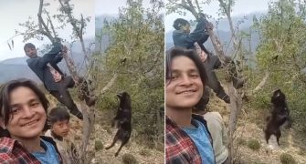 रोल्पामा कुकुरलाई झुन्ड्याएर क्रुर तरिकाले हत्या