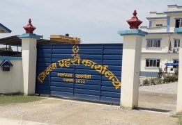 आफ्नो पसलबाट बिहेका गहना नकिनेको निहुँमा सुँगुरको खोरमा थुनेर यातना