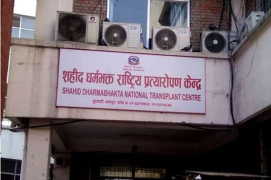 नेपालमा मस्तिष्क मृत्यु भएका दाताबाट पहिलोपटक कलेजो–मिर्गौला प्रत्यारोपण