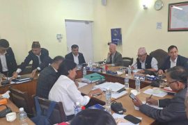संसद्को शिक्षा समिति बैठकमा भनाभन
