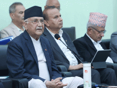 विद्या भण्डारीको नाममा राजनीति नगर्न नेताहरूलाई ओलीको चेतावनी