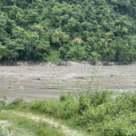 भोटेकोशी बाढी : अहिलेसम्म मृत्यु हुनेको संख्या १७७ पुग्यो