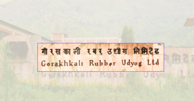 गोरखकाली रबर उद्योग सञ्चालनबारे अन्योल, चर्चा गरियो तर प्राथमिकतामा परेन